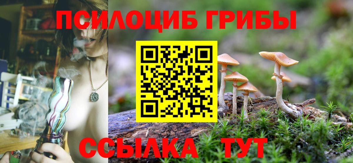 Усть-Илимск  Галлюциногенные грибы Psilocybine cubensis  где продают наркотики  Вход с VPN 